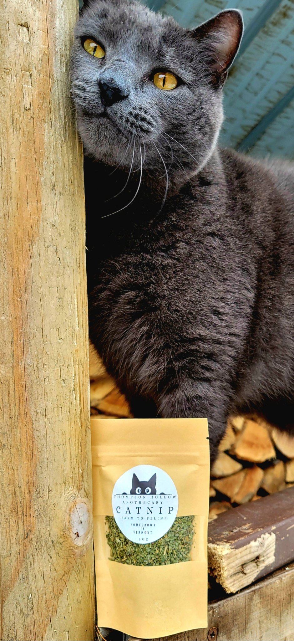 @thompson_hollow_apothecary ThompsonHollow