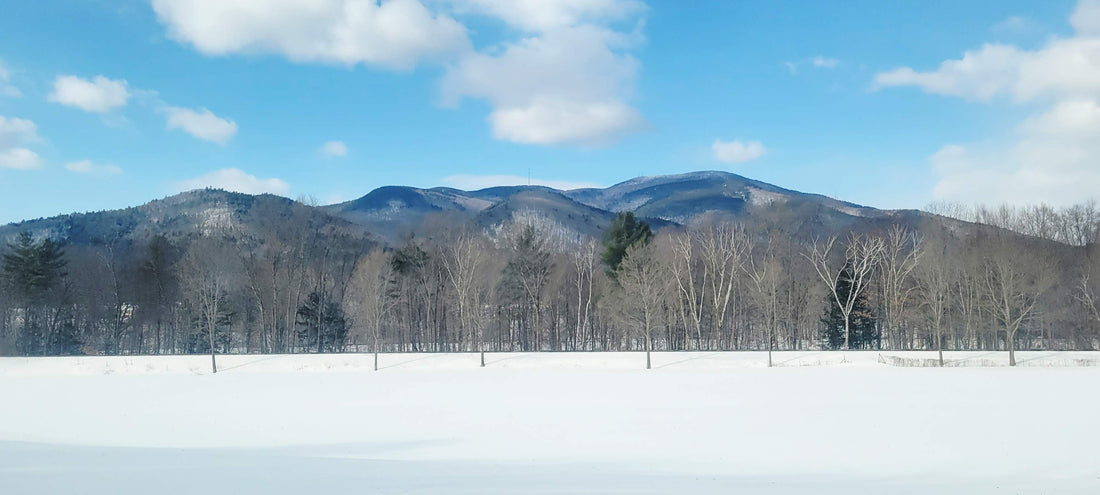 February 26' - Thompson Hollow Apothecary