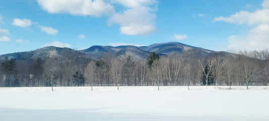 February 26' - Thompson Hollow Apothecary