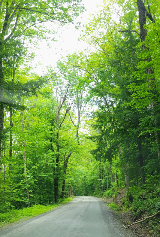 June 2026 - Thompson Hollow Apothecary