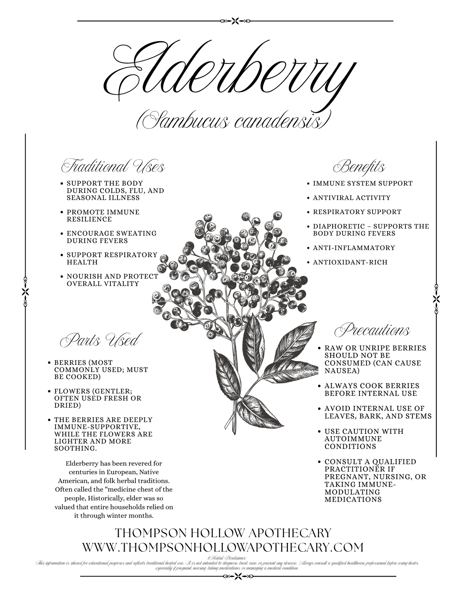 Elderberry Syrup Kit