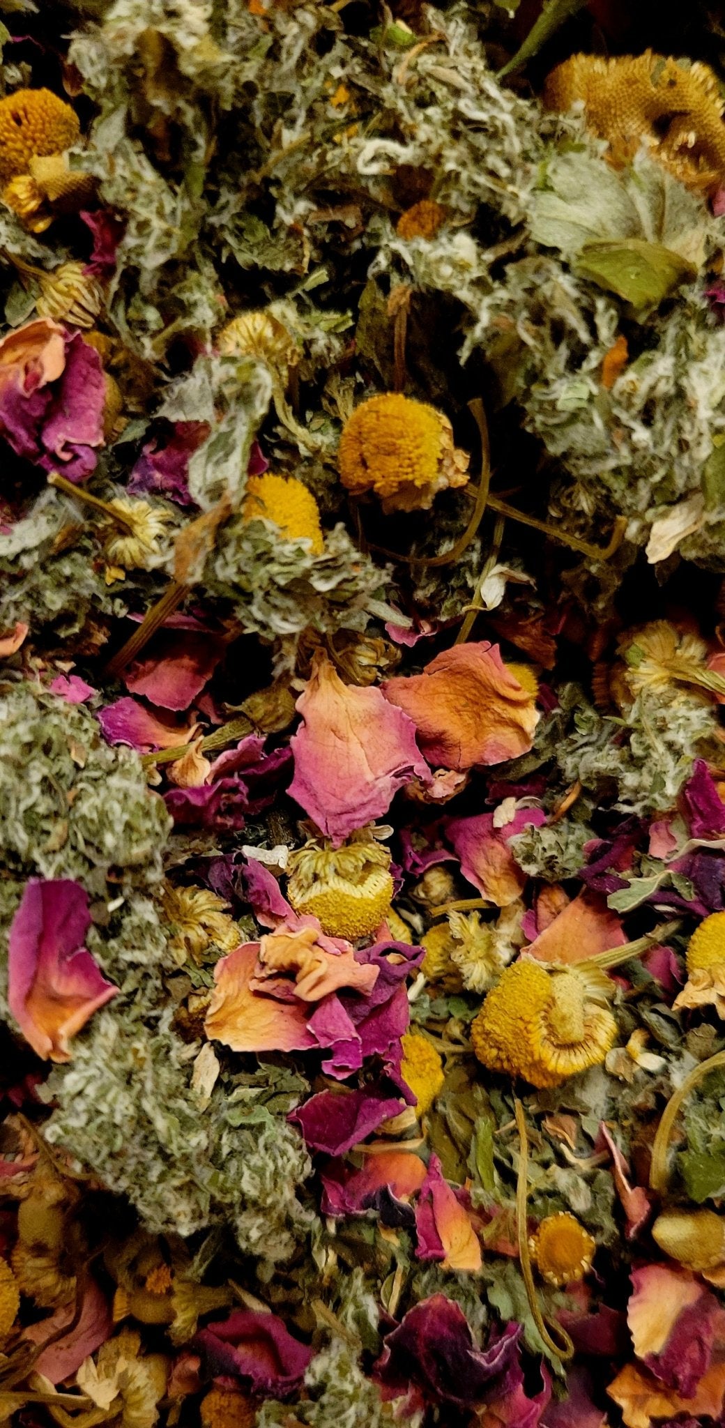 @thompson_hollow_apothecary ThompsonHollow