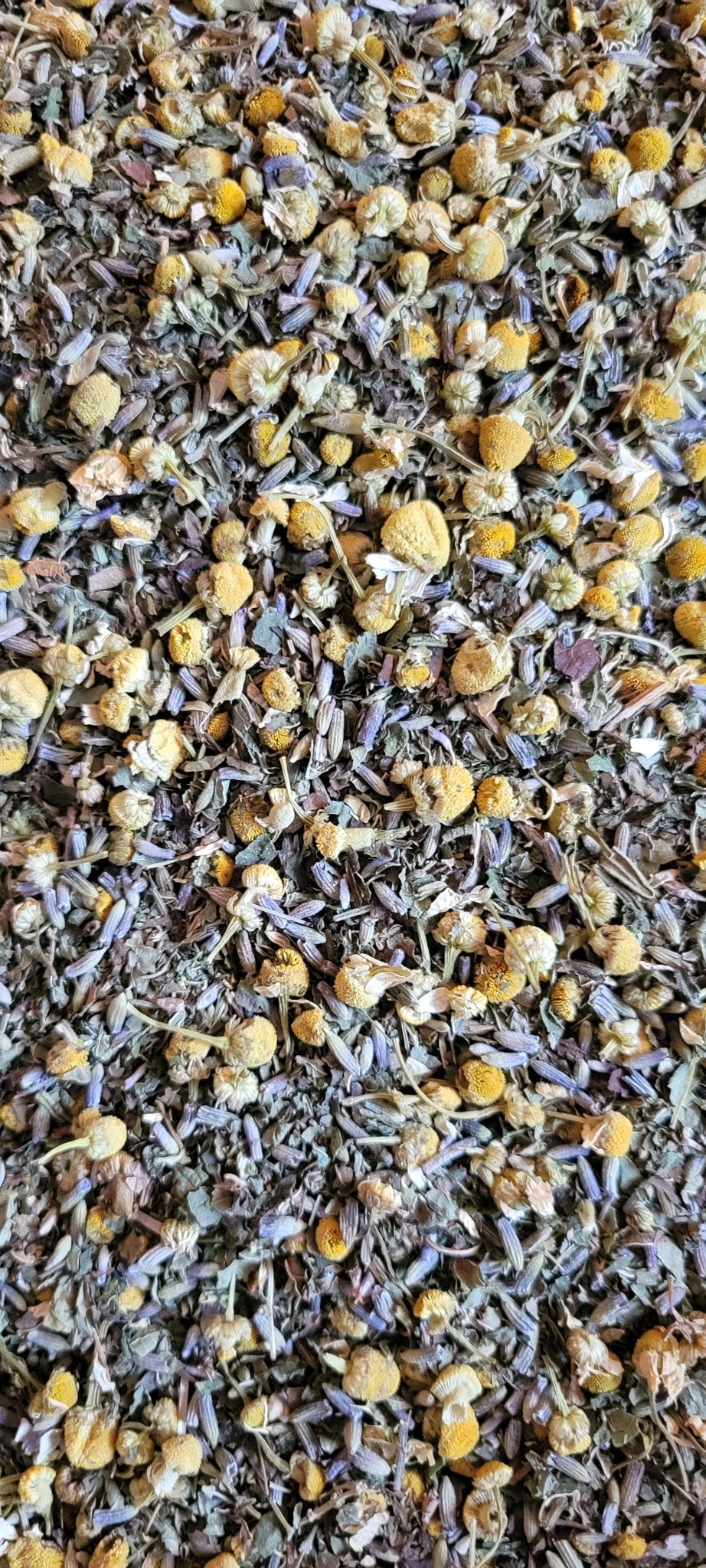 @thompson_hollow_apothecary ThompsonHollow