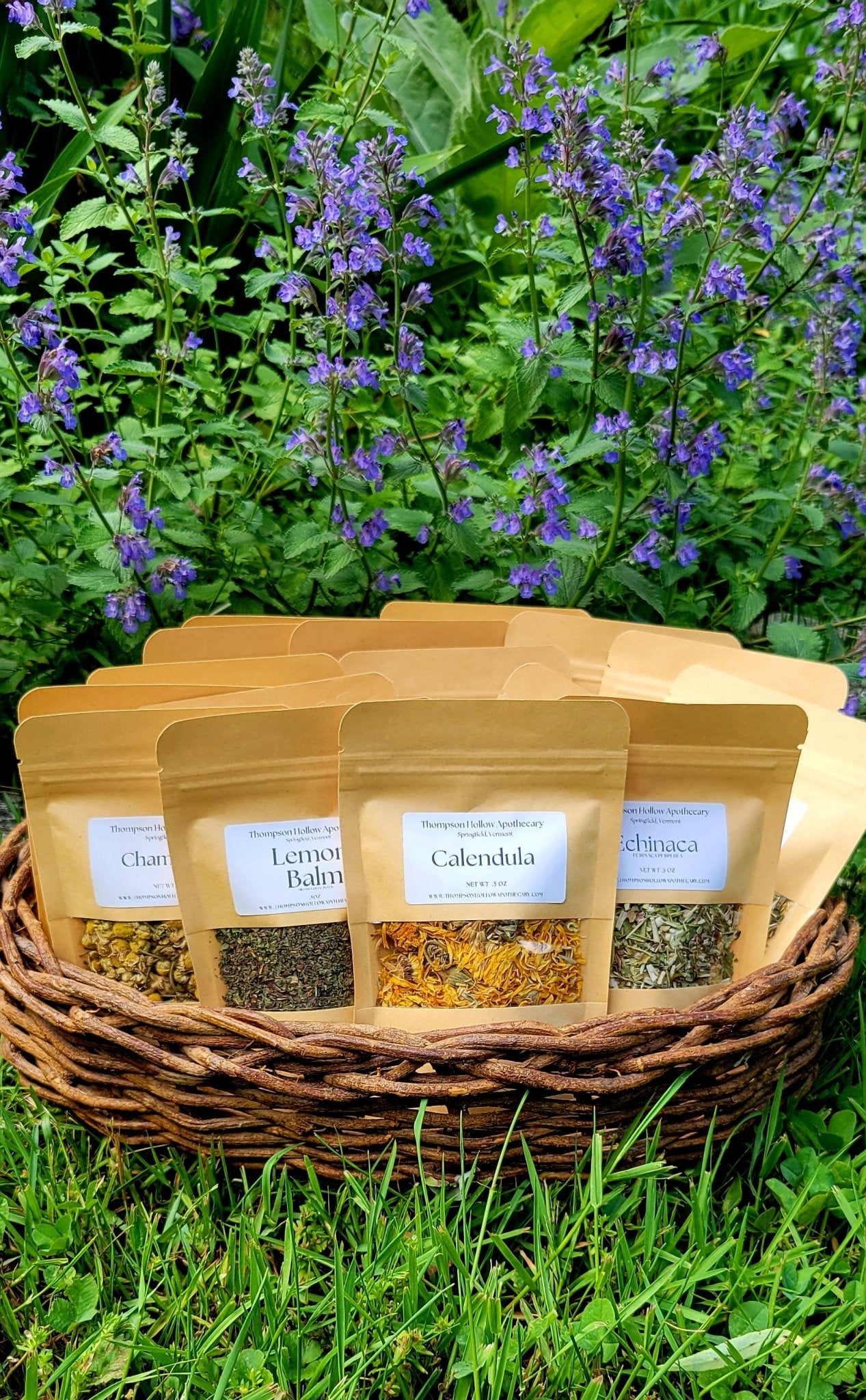 @thompson_hollow_apothecary ThompsonHollow
