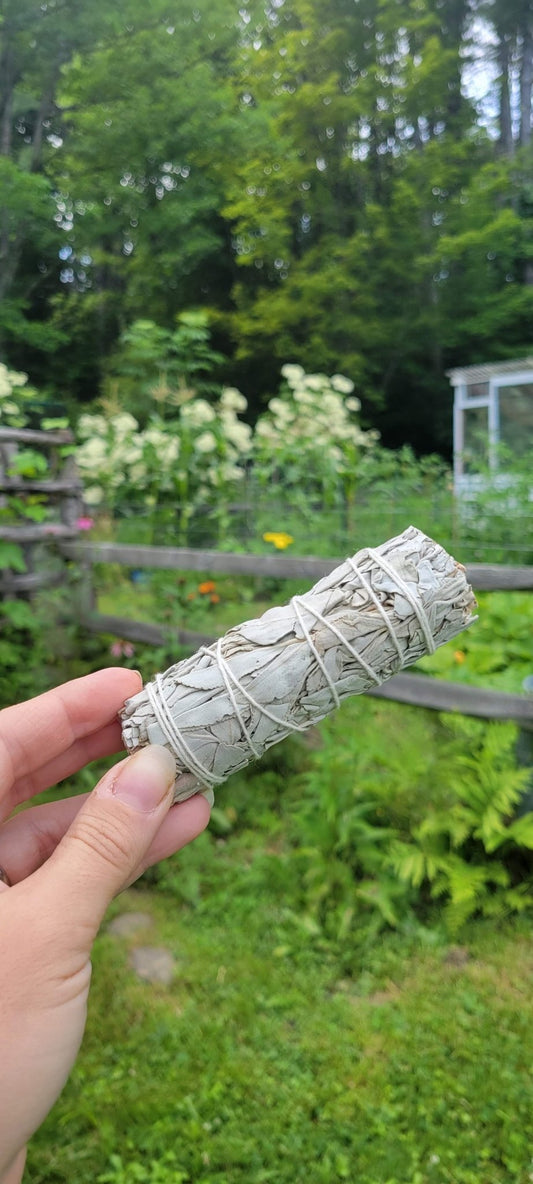 @thompson_hollow_apothecary ThompsonHollow